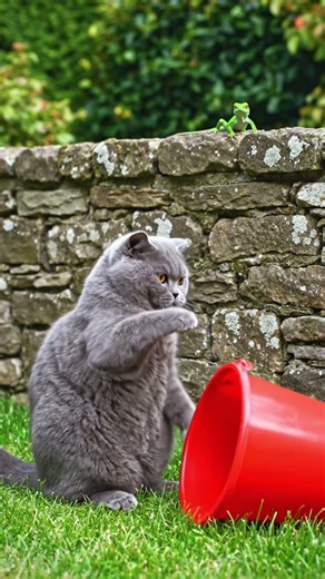 Stealth Mode: Loading… Error 404” 😹🐾