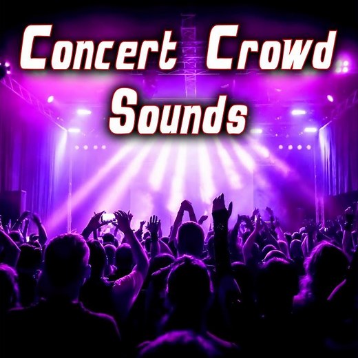 Large Arena Concert Crowd Cheering & Applauding 1