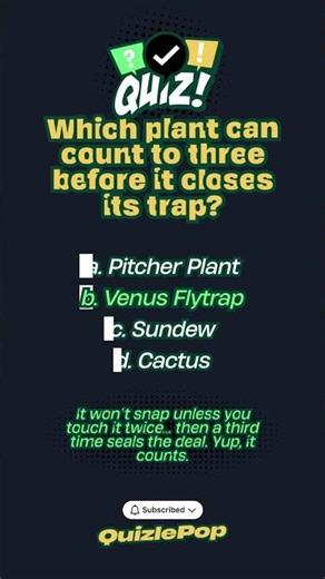 Nature Facts Quiz 🌍 | How Much Do You Really Know?