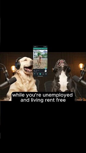 🐾 DogPack – your dog’s new favorite app (and probably yours too).