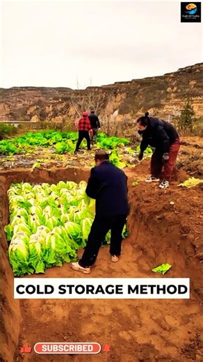 Nature’s Cold Storage Trick ll TOT FACTS