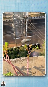 2.4M views · 10K reactions | Efficient workers #workers #fastworkers #efficientworkers #fastworkersgodlevel #fastestworkers #fastestworkersintheworld #godlevelworkers | AmeWhere | Facebook