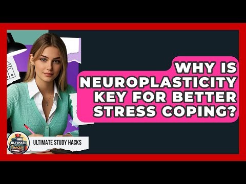 Why Is Neuroplasticity Key For Better Stress Coping? - Ultimate Study Hacks