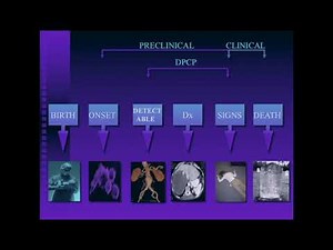 Basic Concepts of Ultrasound