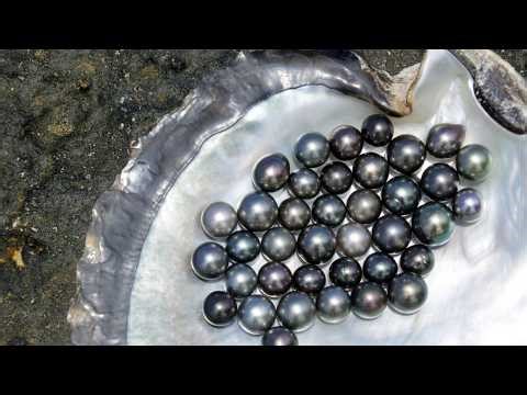 Out of this World Pearls! (Reveals 18722 - 18745)