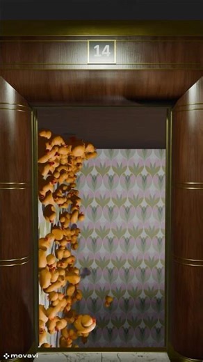 Elevator Opens to a Reverse Gravity Duck Room