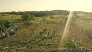 Toda la fuerza de la tierra en una canción. | Cimarrón