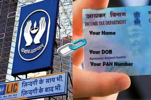 Link Your PAN To LIC Policies Now; Direct Link, Step-by-Step Guide, Check Status
