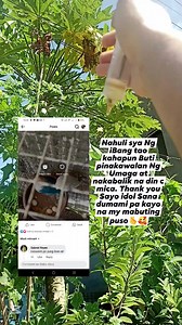 🫰🥰 #jbirdtv #birdshow #show #lovebird #birdtricks | J BIRD TV