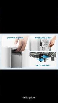 Ultimate Basement Dehumidifier for Large Rooms Bathrooms Keep Your Space Dry Fresh with Midea 50 Pin