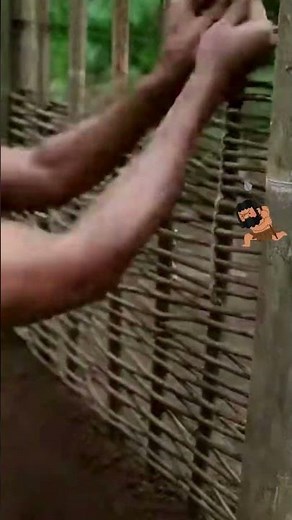 🛖Así construí un refugio primitivo en la selva🪵 #datocurioso #construcción #mitosantiguos #treehouse