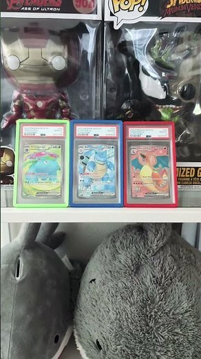 How to display Pokemon Slabs? #pokemonchannel #psa #display