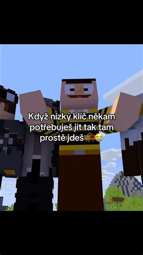 Nízký klíč je celé video tady ⬇️🥀 #meme #minecraftmeme #fun #alanovypatalie # #animace