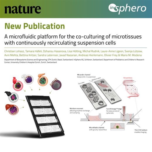 InSphero and ETH Zürich develop gravity-driven microfluidic platform for co-culture of cells and 3D microtissues. | InSphero posted on the topic | LinkedIn