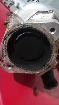 Egr failure Nissan Navara D40
