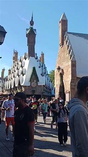 The Harry Potter area in Universal's Island of Adventure/Wizarding World
