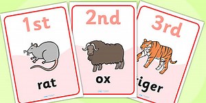 Animal Race Ordinal Numbers Flashcards