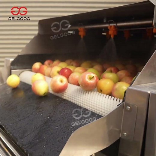 Complete Apple Processing Line 🍏 From Washing to Grading in One Flow