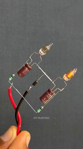 53K views · 787 reactions | Dual Neon Bulb Flasher Circuit #Tech #Shorts #diy #Reels #engineering #trending | DIY Electrix | Facebook