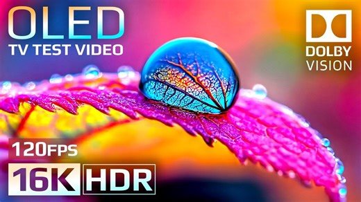 NW Amazing 16K HDR 120 FPS ｜ Dolby Vision OLED Demo (8K⧸4K TV Video)