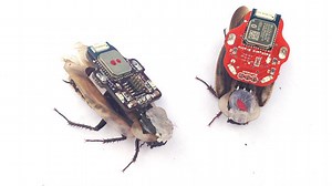 A Kickstarter launched a couple of days ago is already half way to letting you control a cockroach with your phone, but is this ethical?