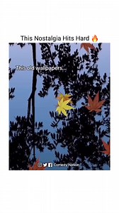 This wallpapers are 🥺 | Comedy Nation