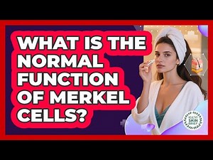 What Is The Normal Function Of Merkel Cells? - Healthy Skin Brief
