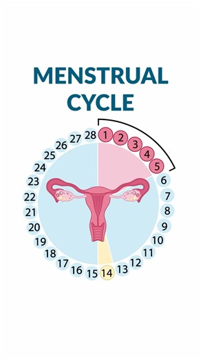 Nurse Mike from Simple Nursing on Instagram: "If you want access to more FULL lessons like this - head to our bio and join us at SimpleNursing! . . . #nursing #anatomy #nurses"