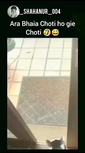 13K views · 44 reactions | .#funny #humor #memes #relatable #laughter #jokes #comedy #hilarious #internetmemes #dailymemes #memeculture #viralhumor #laughoutloud #satire #amusing #giggle #witty #lighthearted #comedicrelief #internethumor #memepage #funnypics #jokeoftheday #entertainment #socialmediahumor #memecommunity | Game of Memes | Facebook