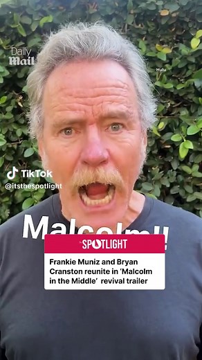 Malcolm in the Middle Cast Reunites for Hulu Revival