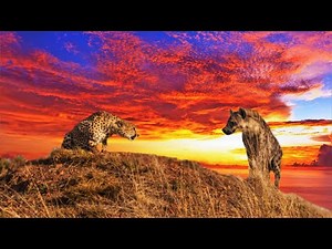 Cheetah vs Hyena | Mari Kita Bandingkan!