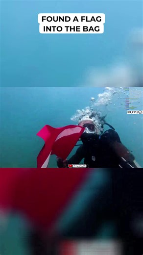 Found a flag on the ocean floor and the rule is simple — everything goes in the bag. Shipwreck loot arc is real. #shipwreck #diving #underwater #explore #viral