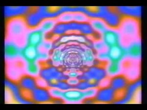 Terence Mckenna - Spacetime Continuum - Alien Dreamtime - 1993 - Part 1/1 - Video 16/?