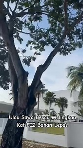 Kat kampung jawa bayan lepas.berhampiran pintu gate utama keysight/agilent. hati2 ampa semua..🙏 | Penang Kini