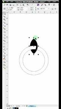 Black and White Vector Design