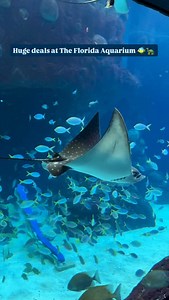 4.9K views | Huge deals at The Florida Aquarium  @floridaaquarium...