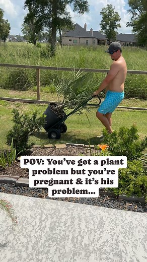 22K views | “We” planted our first Pindo Palm! 藍 I found 50% off at...