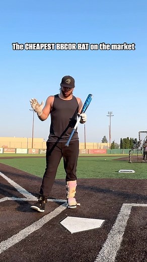 The Baseball Bat Bros on Instagram: "Reviewing the $79 Easton SPEED: the cheapest BBCOR bat on the market. Full vid is live on YT 🫡"