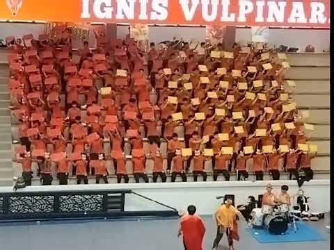 IGNIS VULPINARIS CHEER