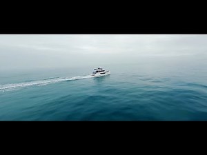 M48 - Genesis