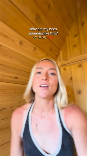 Madie Lyons Mathews on Instagram: "Someone please explain.  Serious answers only thank you. #bees #beekeeper #beetok #comedy #funny"