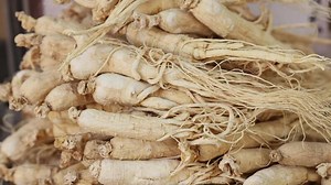 ginseng rotating horizontal composition Ginseng root is a perennial plant