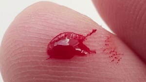 Blood Oozes Cut Finger Close-up Stock Footage Video (100% Royalty-free) 3703332603 | Shutterstock