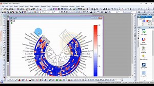 How to Draw a Polar Heatmap with Dendrogram in Origin Pro 2022 - Bio Statistics