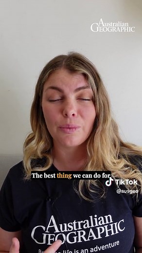 Understanding Kangaroo Attacks: Prevention and Response