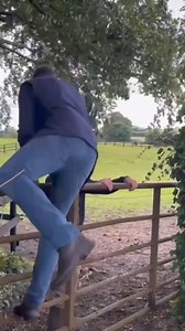 13K views · 76 reactions | 欄 Cathal Ennis is a leading producer of National Hunt stock. Based in Westmeath, Cathal bred the 2021 Aintree Grand National winner Minella Times and consigned him at the November National Hunt Sale. 﫡 Jamie Codd paid Cathal a visit during the week ahead of entries closing for November on the 13th September. We look forward to seeing some of Cathal’s beautiful foals offered at the November National Hunt Sale. | Tattersalls Ireland | Facebook