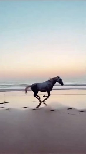 the best eq • Friends op TikTok