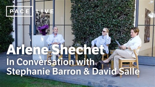 Arlene Shechet in Conversation with Stephanie Barron and David Salle | Pace Gallery