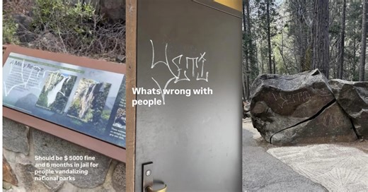 Everything We Know About the Yosemite National Park Graffiti Incident