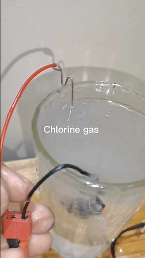 how to make chlorine gas at home || electrolysis reaction #shorts #electrolysis